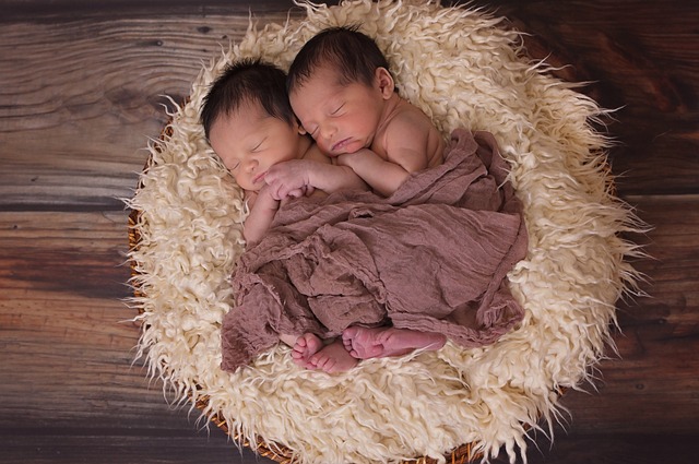 毛布にくるまる双子の赤ちゃん